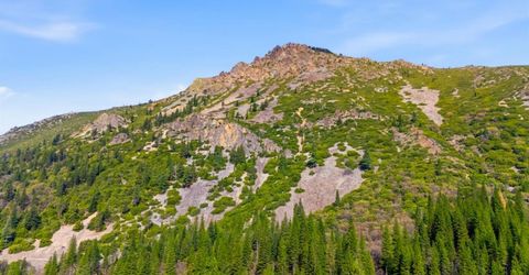 17 Squirrel Hollow, Sierra City, CA 96125 Photo