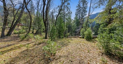 17 Squirrel Hollow, Sierra City, CA 96125 Photo