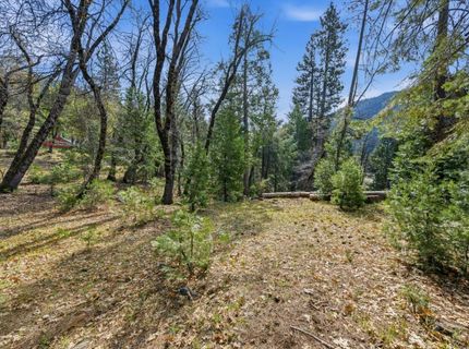 17 Squirrel Hollow, Sierra City, CA 96125 Photo