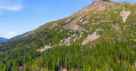 17 Squirrel Hollow, Sierra City, CA 96125 Photo