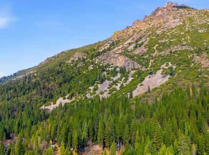 17 Squirrel Hollow, Sierra City, CA 96125 Photo