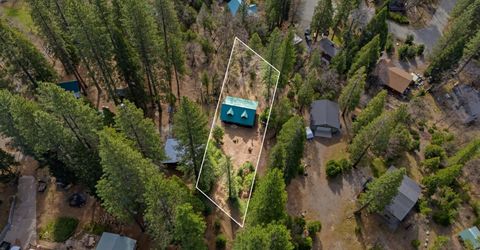 17 Squirrel Hollow, Sierra City, CA 96125 Photo