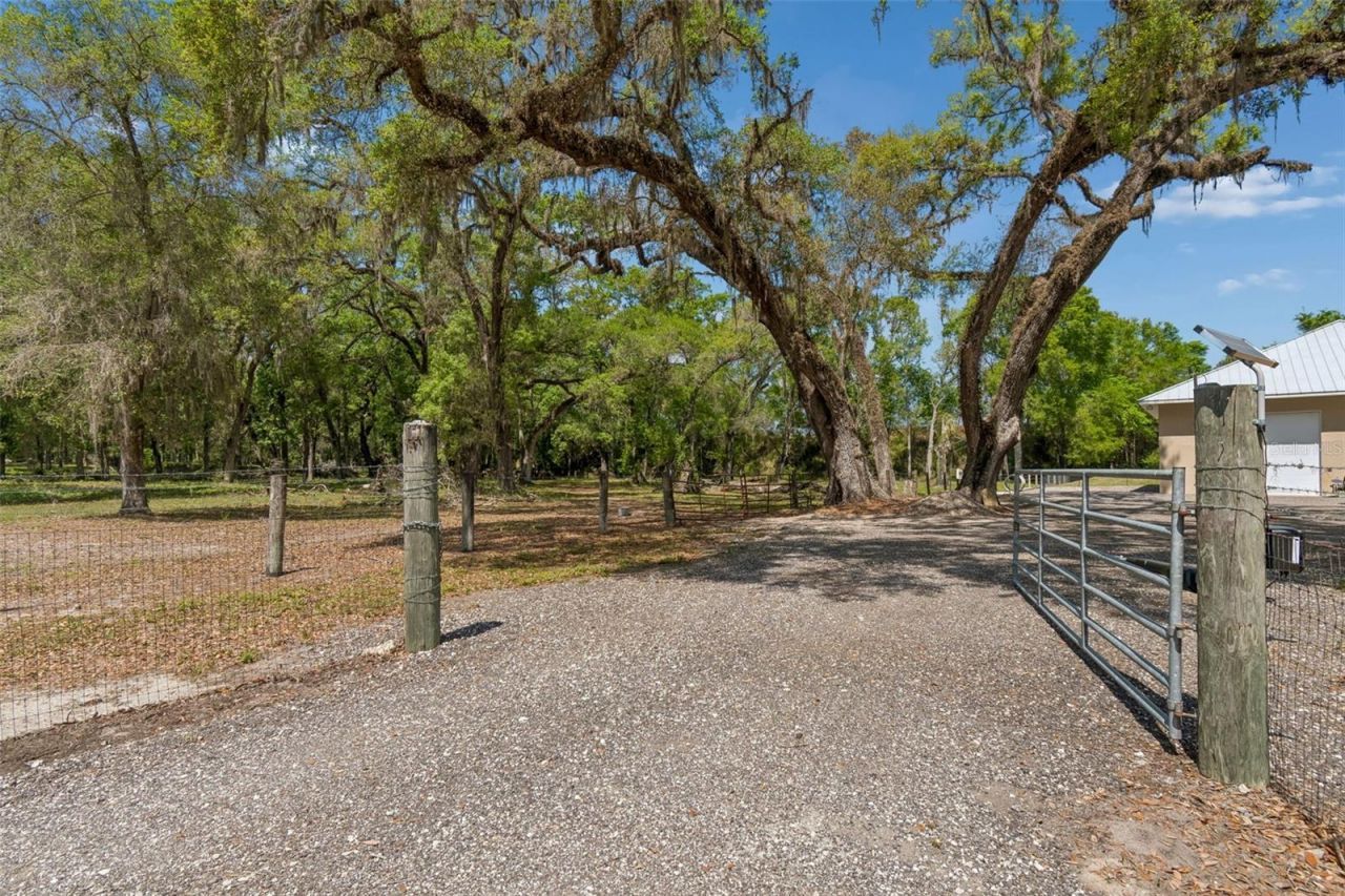 4300 Cr 673, Bushnell, FL 33513 Photo
