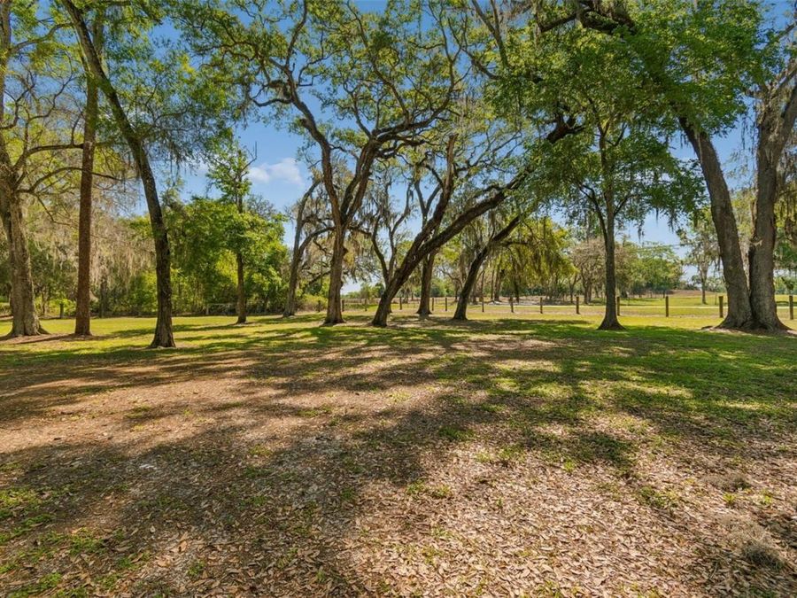 Property Image 82
