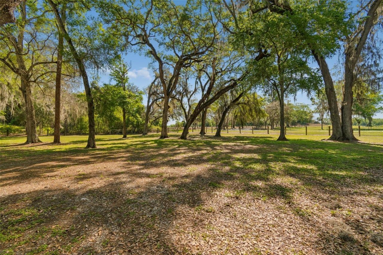 4300 Cr 673, Bushnell, FL 33513 Photo
