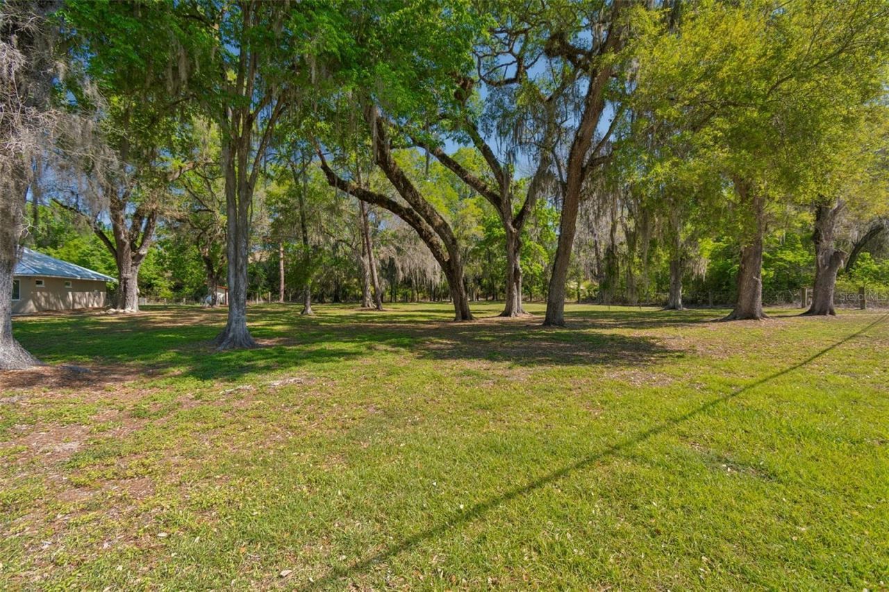 4300 Cr 673, Bushnell, FL 33513 Photo