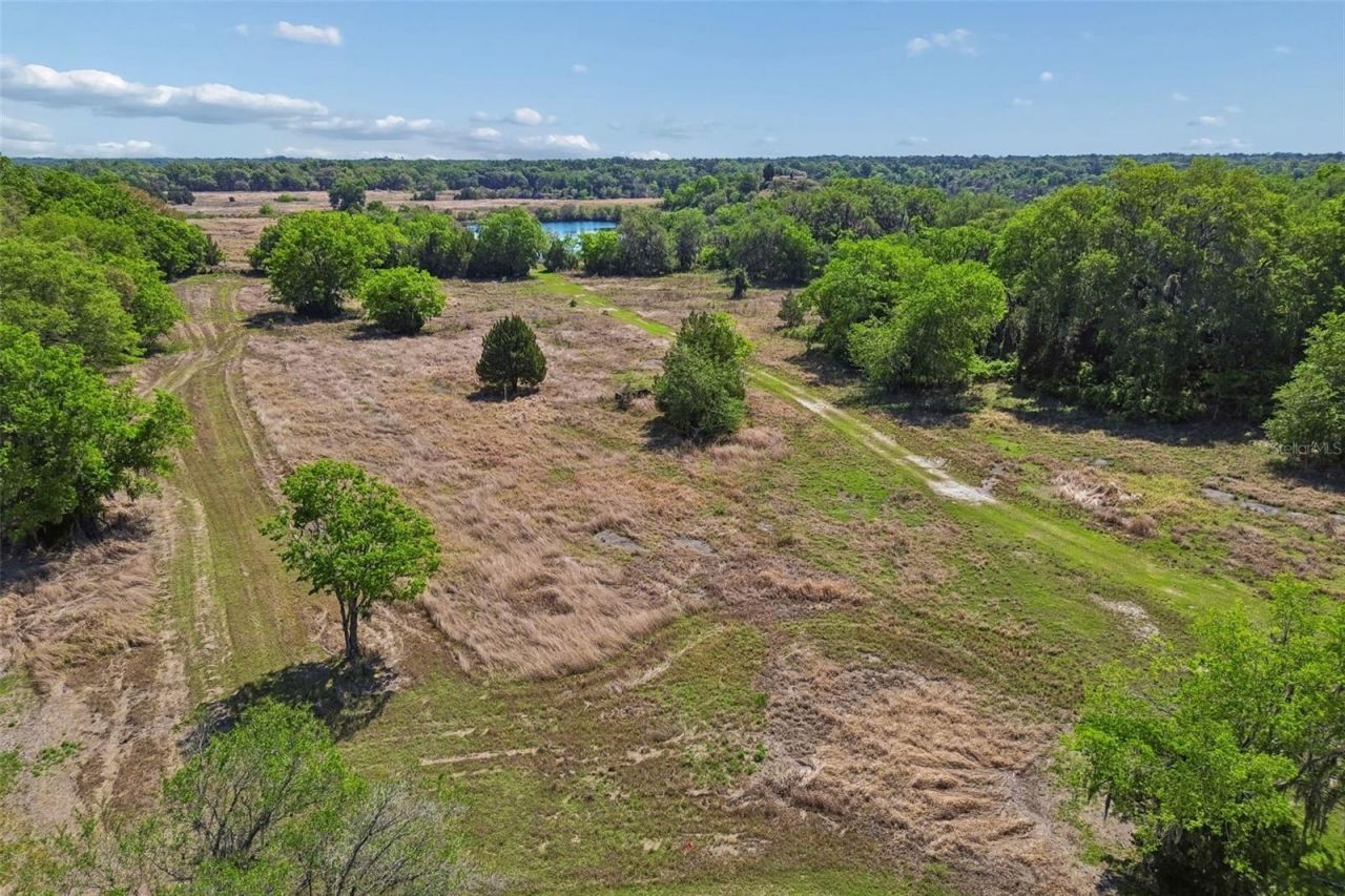 4300 Cr 673, Bushnell, FL 33513 Photo