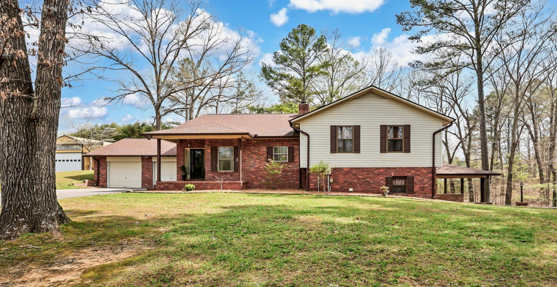 115 Mostly Locust Dr Buchanan, TN 38222