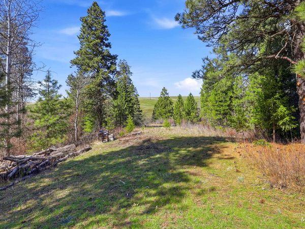 1114 Paradise Ridge Road, Moscow, ID 83843