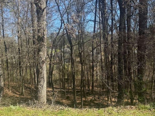 3740 Mountain Cove Road, Snellville, GA 30039