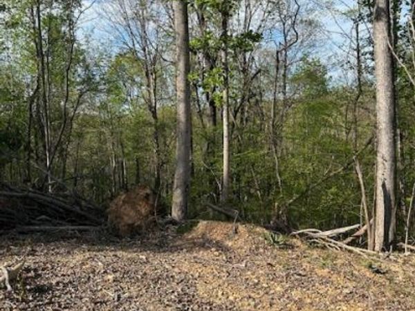 0 Oak Hill Road, Nunnelly, TN 37137