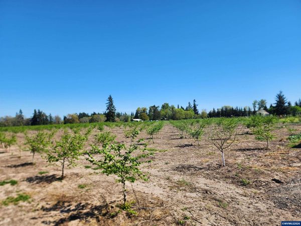 36501 Gilkey Rd, Scio, OR 97374