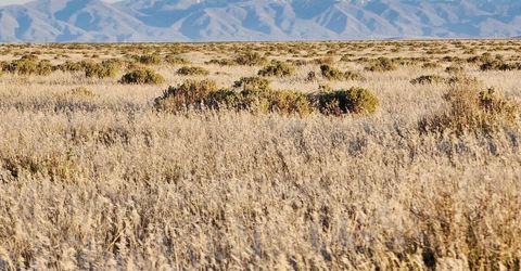 5 Elevenmile Well Road, Golconda, NV 89414 Photo