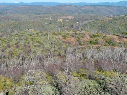 Doster Rd, Mountain Ranch, CA 95246 Photo