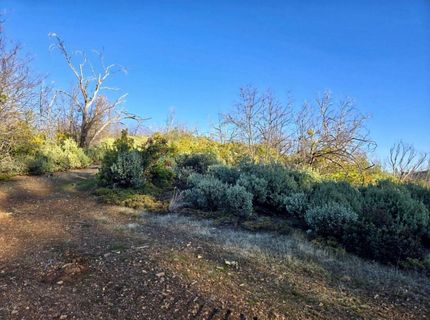 Doster Rd, Mountain Ranch, CA 95246 Photo