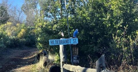 Doster Rd, Mountain Ranch, CA 95246 Photo