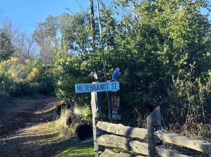 Doster Rd, Mountain Ranch, CA 95246 Photo