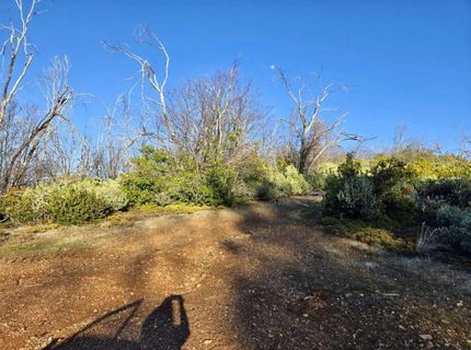 Doster Rd, Mountain Ranch, CA 95246 Photo