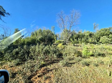 Doster Rd, Mountain Ranch, CA 95246 Photo