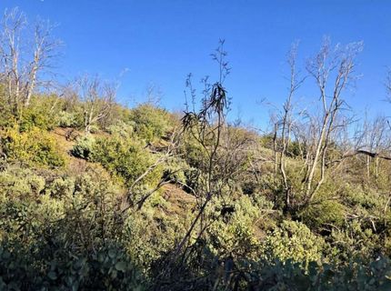 Doster Rd, Mountain Ranch, CA 95246 Photo