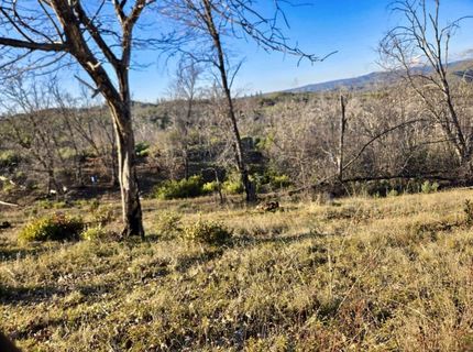 Doster Rd, Mountain Ranch, CA 95246 Photo