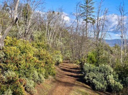 Doster Rd, Mountain Ranch, CA 95246 Photo