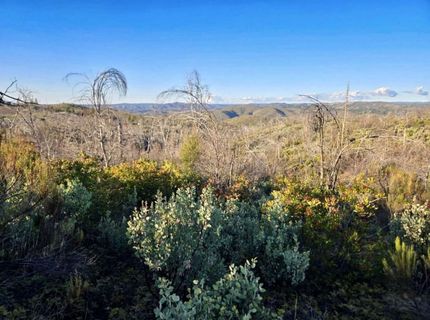 Doster Rd, Mountain Ranch, CA 95246 Photo