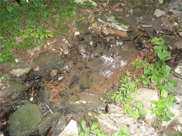 168 Reflections Drive , Marshall, AR 72650