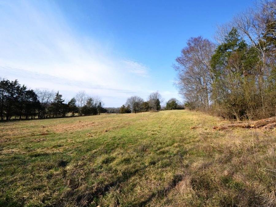 Property Image 60