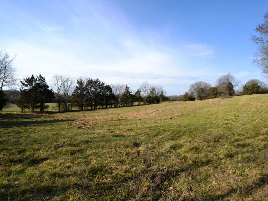 Property Image 63