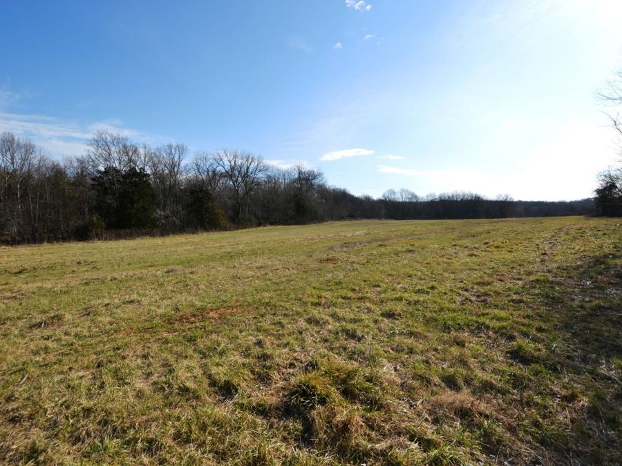 Property Image 65