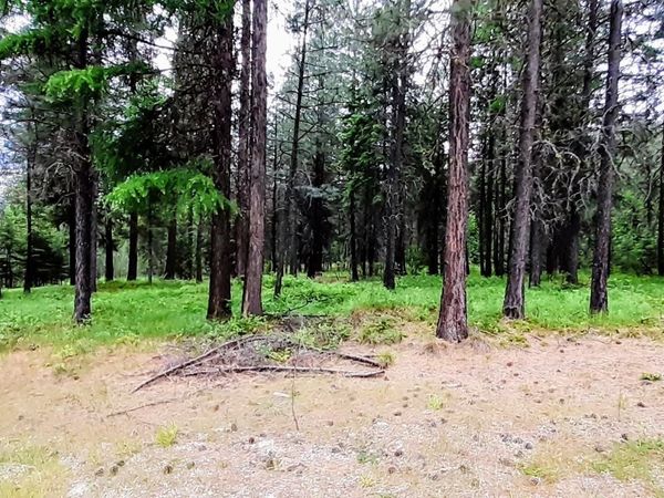 4XX Couples Pl, Chewelah, WA 99109