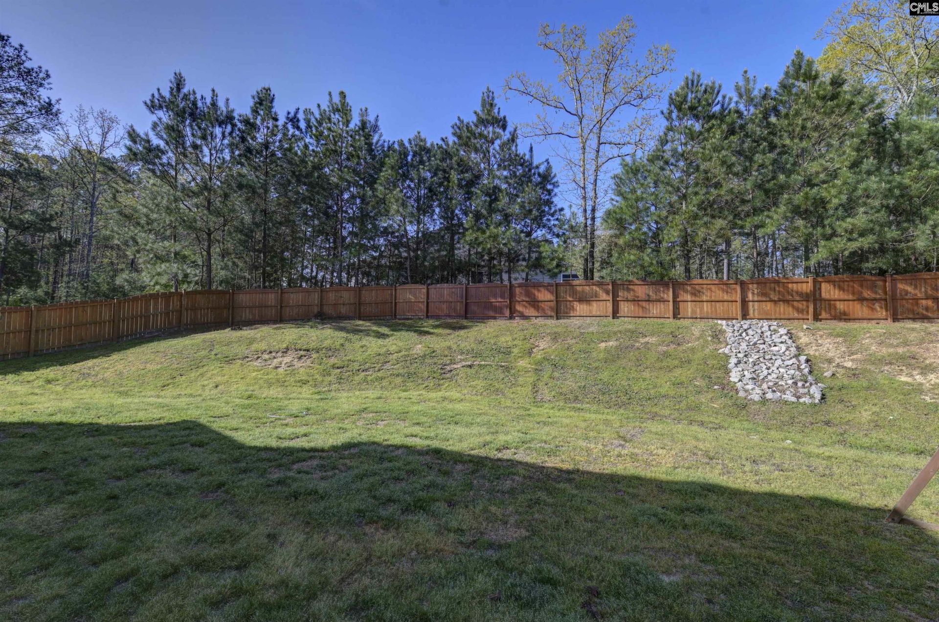 236 Crimson Queen Drive  Photo 12