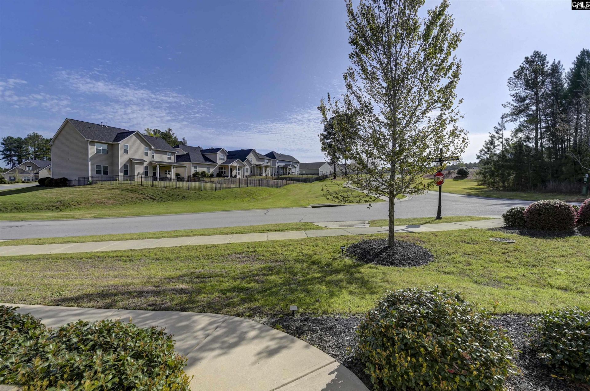 236 Crimson Queen Drive  Photo 59