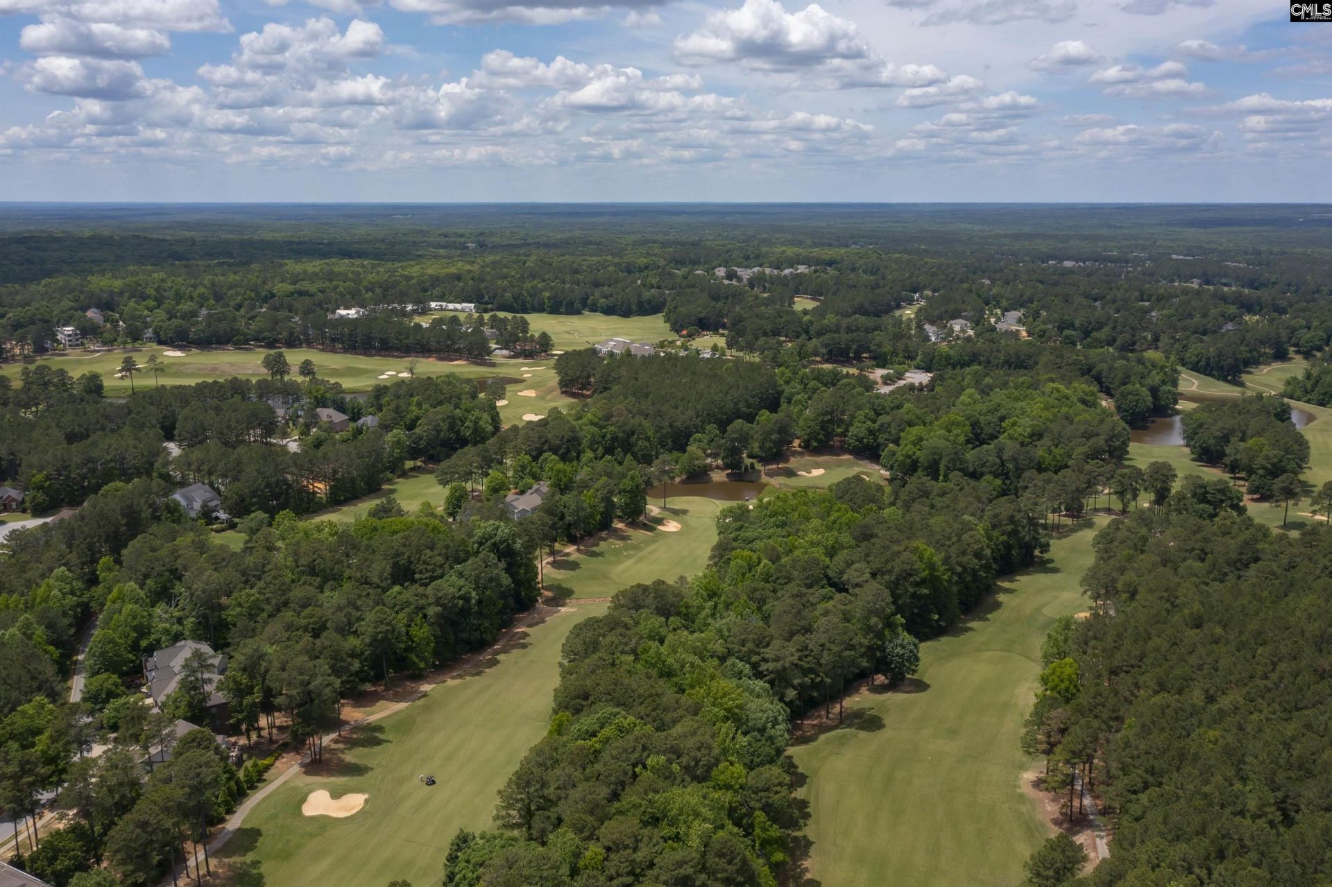 236 Crimson Queen Drive  Photo 71