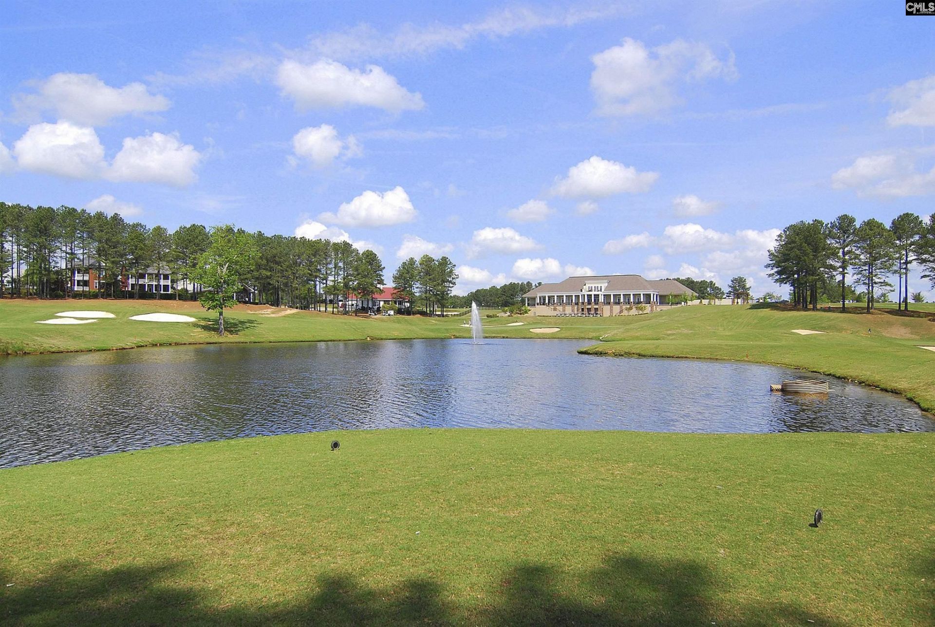 236 Crimson Queen Drive  Photo 80