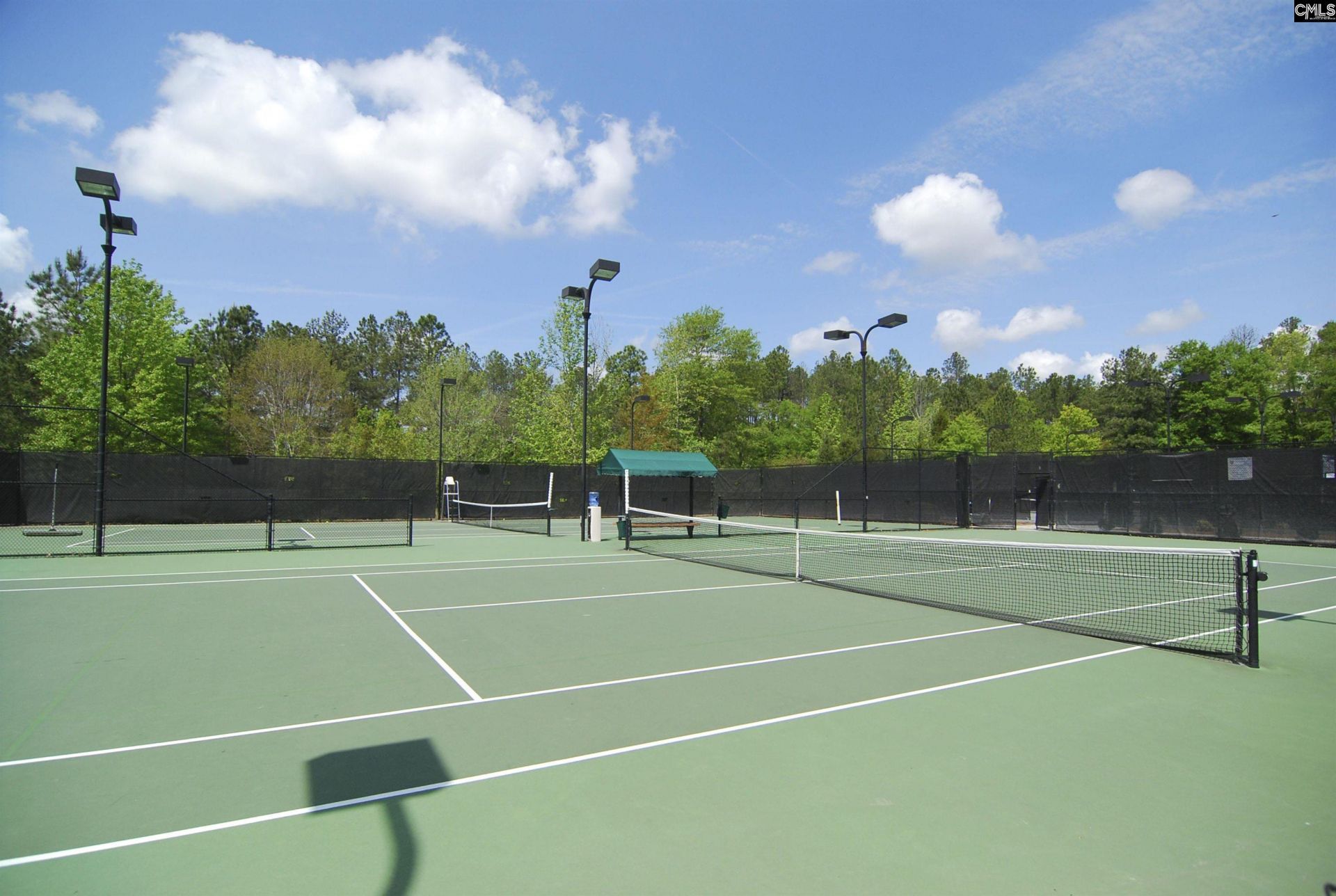 236 Crimson Queen Drive  Photo 83