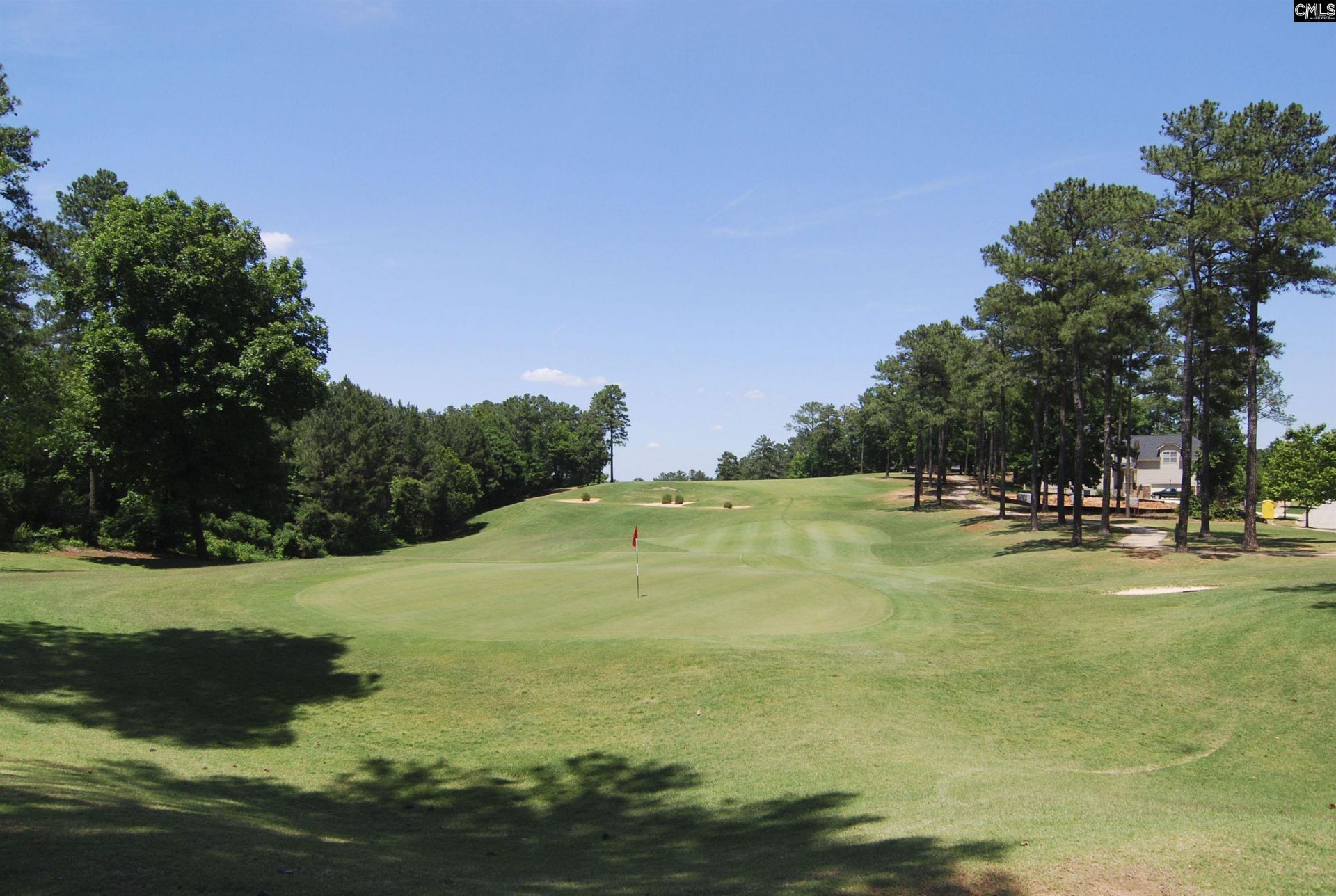 236 Crimson Queen Drive  Photo 86