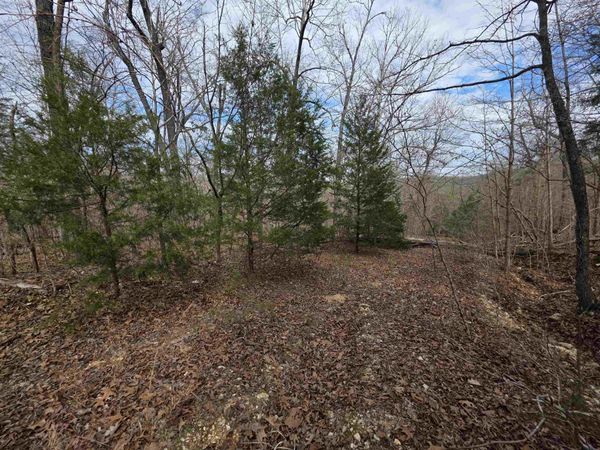 L-42 B-1 Robin Hood Lane , Hardy, AR 72542