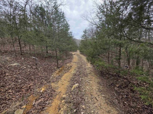 L-24 B-5 Tom Lee Road , Hardy, AR 72542