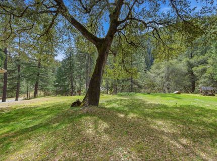 23433 Highway 49, Downieville, CA 95936 Photo