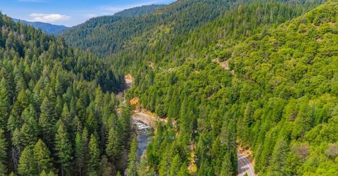 23433 Highway 49, Downieville, CA 95936 Photo