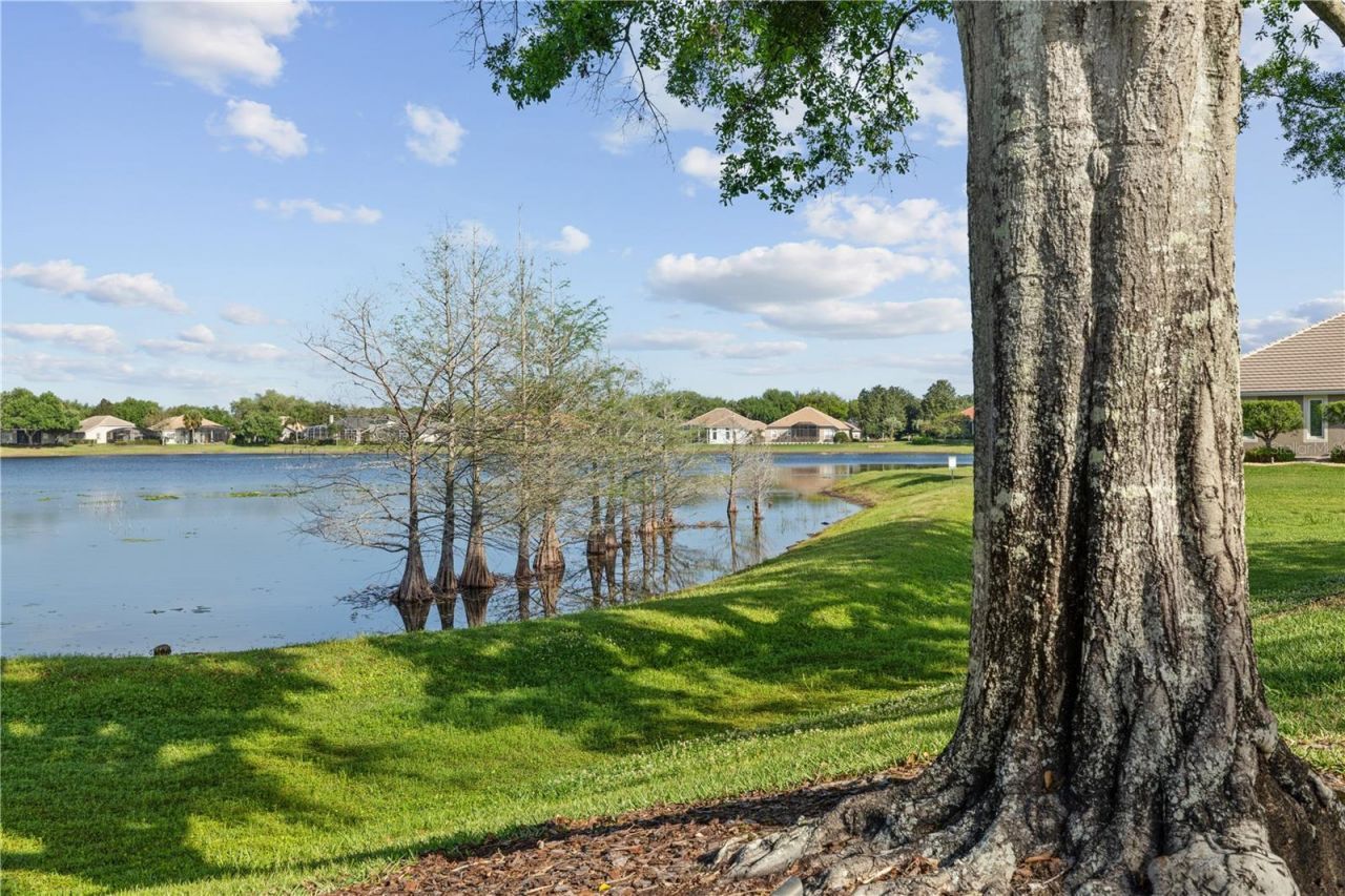 968 Paddington Terrace , Lake Mary, FL 32746 Photo
