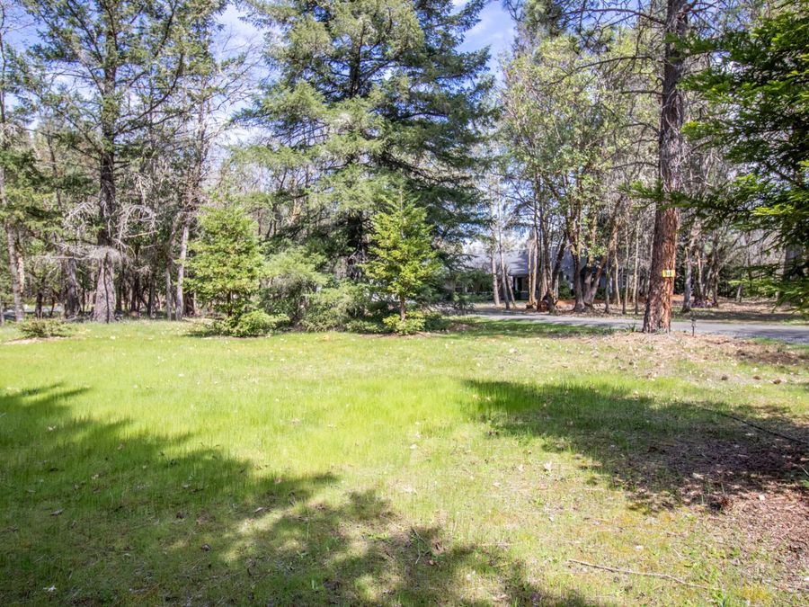 Property Image 58