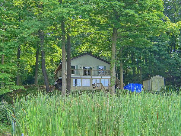 10749 Kings Lane, Berrien Springs, MI 49103