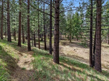 1010 Onnontioga Street, South Lake Tahoe, CA 96150 Photo