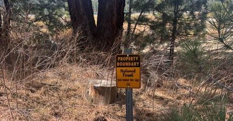 1010 Onnontioga Street, South Lake Tahoe, CA 96150 Photo