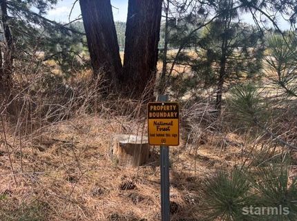 1010 Onnontioga Street, South Lake Tahoe, CA 96150 Photo