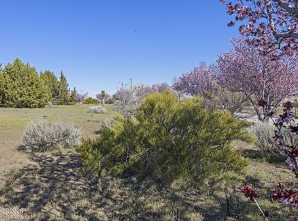 15069 N Red Rock Road, Reno, NV 89508 Photo