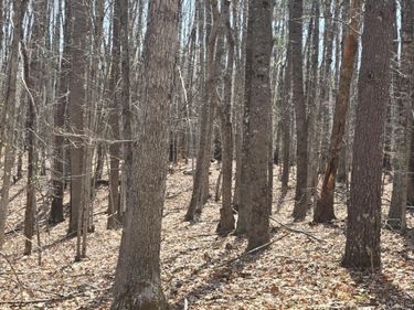 0 Equestrian Trail Road, New Canton, VA 23123